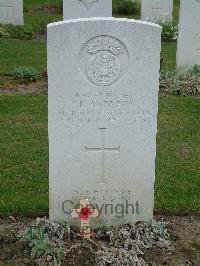 Reichswald Forest War Cemetery - Andrews, Frank Edwin