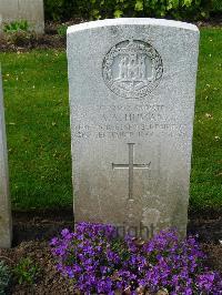 London Cemetery And Extension Longueval - Human, Albert Alfred
