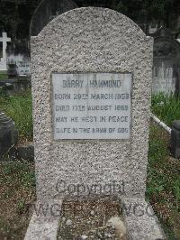 Hong Kong Cemetery - Hammond, Barry