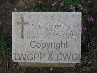 Shrapnel Valley Cemetery - Cole, Herbert Daniel