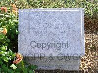 Lone Pine Cemetery&#44; Anzac - Albon, George William