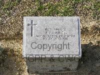Twelve Tree Copse Cemetery - Daintith, J