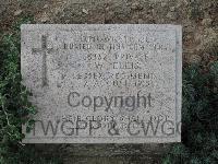 Twelve Tree Copse Cemetery - Ellis, W