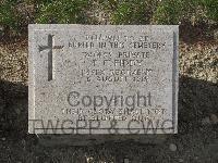 Twelve Tree Copse Cemetery - Fiddy, T C