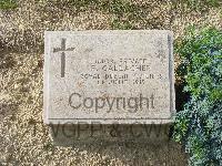 Twelve Tree Copse Cemetery - Gallagher, F