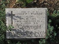 Twelve Tree Copse Cemetery - Gepp, N M
