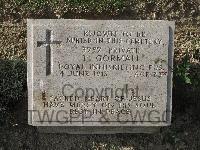 Twelve Tree Copse Cemetery - Gorman, Patrick