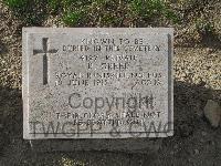 Twelve Tree Copse Cemetery - Greer, R