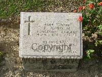 Twelve Tree Copse Cemetery - Johnson, Peter