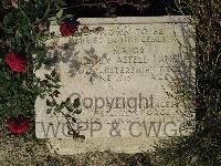 Twelve Tree Copse Cemetery - Lang, Henry Astell