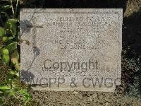 Twelve Tree Copse Cemetery - McLeod, G
