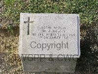Twelve Tree Copse Cemetery - Merry, W J