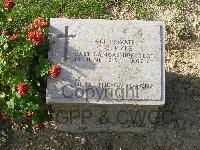 Twelve Tree Copse Cemetery - Pyle, G S