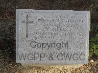 Twelve Tree Copse Cemetery - Shields, W