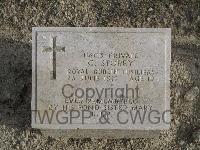 Twelve Tree Copse Cemetery - Storey, Christopher