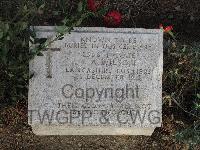 Twelve Tree Copse Cemetery - Wilson, L A