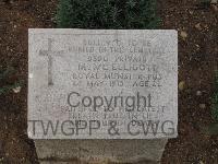 Pink Farm Cemetery - McElligott, Michael