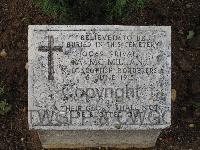 Pink Farm Cemetery - McMillan, A