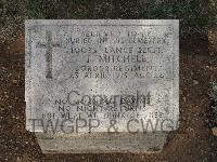 Pink Farm Cemetery - Mitchell, T