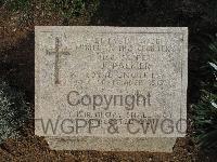 Pink Farm Cemetery - Palmer, J