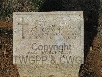 Pink Farm Cemetery - Payne, Robert