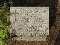 Pink Farm Cemetery - Robinson, O