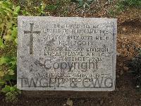 Pink Farm Cemetery - Scott, W