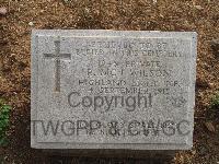 Pink Farm Cemetery - Wilson, R. McI