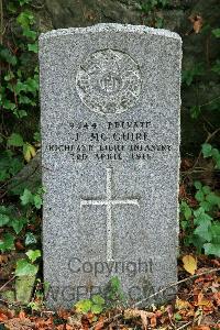 Paisley (Woodside) Cemetery - McGuire, James