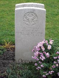 Berlin 1939-1945 War Cemetery - MacRae, Donald