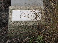 Berlin 1939-1945 War Cemetery - Williams, John Frederick