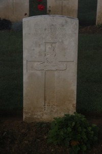 Aubigny Communal Cemetery Extension - White, T