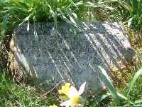 Wood Enderby (St. Benedict) Churchyard - Dawson, Reggie