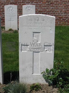 RUE-PETILLON MILITARY CEMETERY, FLEURBAIX - TRIPP, G