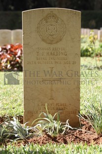 BEIRUT WAR CEMETERY - HARDING, THOMAS JAMES