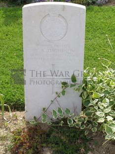 ANCONA WAR CEMETERY - THOMPSON, WILLIAM ALBERT