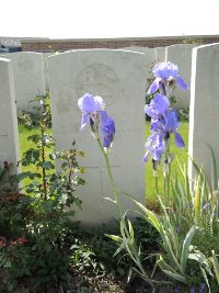 Couin New British Cemetery - Carver, W T