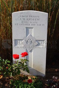 DADIZEELE NEW BRITISH CEMETERY - ANDREW, A H