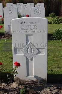 DADIZEELE NEW BRITISH CEMETERY - YOUNG, T