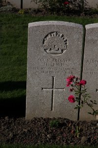 Lijssenthoek Military Cemetery - Lewis, Harry