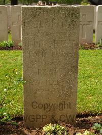 Lijssenthoek Military Cemetery - Mittelberg, August