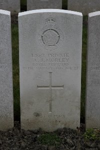 Lijssenthoek Military Cemetery - Morley, A J