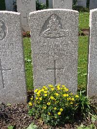 Lijssenthoek Military Cemetery - Panting, Charles