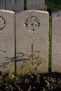 Lijssenthoek Military Cemetery - Pascall, Percy