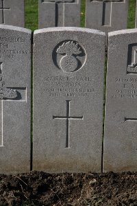 Lijssenthoek Military Cemetery - Ross, William