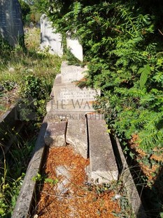 SOUTHAMPTON OLD CEMETERY - TILLYER, JAMES JOHN