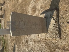 BAGHDAD (NORTH GATE) WAR CEMETERY - McCARTHY, WILLIAMS