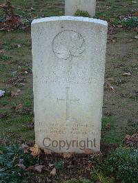 Bretteville Sur Laize Canadian War Cemetery - Wilcox, Jessie F.