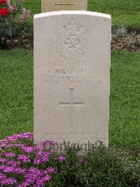 Argenta Gap War Cemetery - MacDowall, Richard